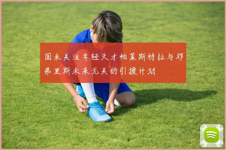 国米关注年轻天才帕莱斯特拉与邓弗里斯未来无关的引援计划